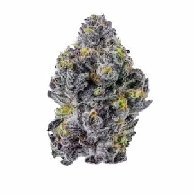 Sticky Wasabi (Triploid F1) > Growers Choice